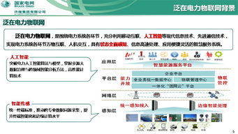 泛在電力物聯(lián)網(wǎng)下的智能傳感與人工智能技術(shù)融合創(chuàng)新——基于許繼集團翟登輝會議報告的研究與應用展望